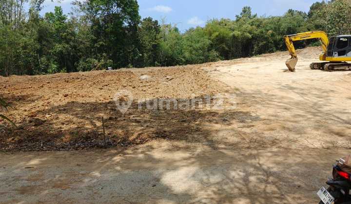 Dijual Tanah Luas Lokasi Strategis di Purworejo, Jawa Timur 1