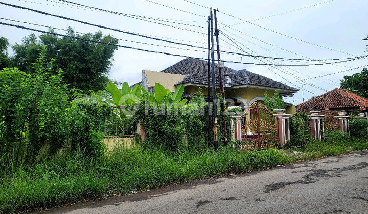 Bagus untuk Buka Usaha Cafe dan Resto Area Strategis 2