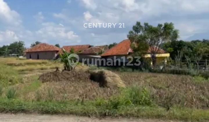 Vacant Land on Jl Patapan Beber Cirebon