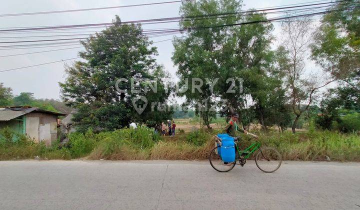 Tanah Kavling Di Cicau Raya Cikarang Pusat Peruntukan Industri 1