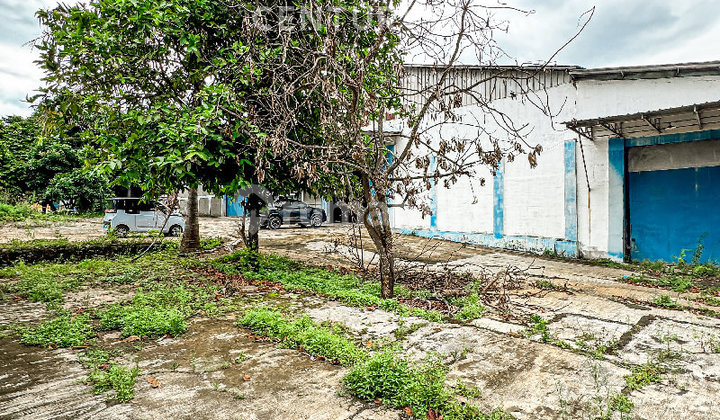 Gudang Strategis Di Kawasan Industri Purwakarta Luas 4669 M2 Gudang Strategis Di Kawasan Industri Purwakarta Luas 4669 M2