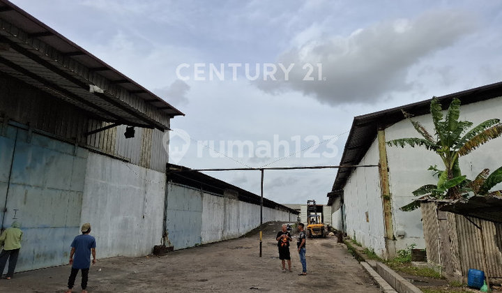 Gudang Strategis Dekat Exit Tol Karawang Timur Luas 11600M