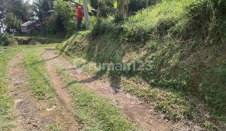 Tanah Perbukitan di Bukit Cirimpak Megamendung Tanah Perbukitan di Bukit Cirimpak Megamendung