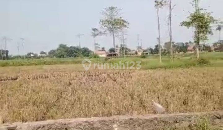 Kavling Komersil Mauk Raya Luas 4200m2 Hrg 1,2jt Per M2 Tangerang 2