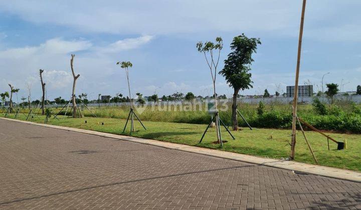 Kavling Palm Spring Pik2 Luas 1000m2 View Danau Hrg 35jt Per M2 1