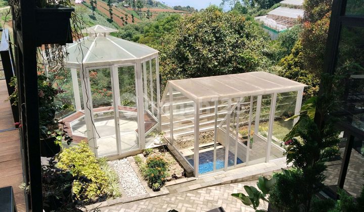 Rumah Lux Dago Pakar dengan Bangunan yang Dirancang dengan Penuh Seni Punya View