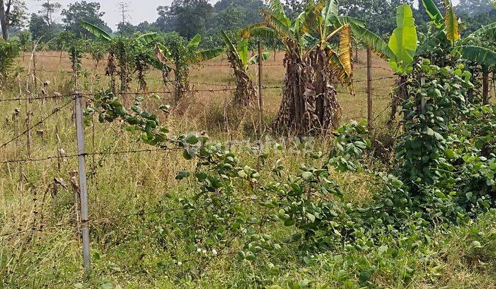 Kertajati Blok Kaso Desa Kertasari Bersebelahan Dengan Kavling Gudang Garam Dan Didepan Kavling Salim Group 1