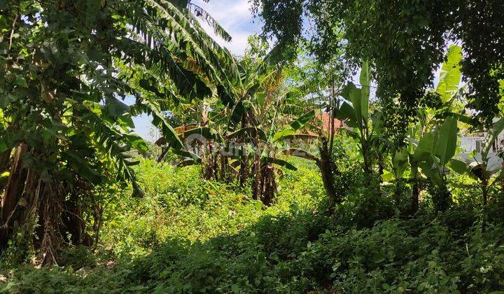 Tanah 34594m2 di tempat Wisata Gunung Payung Cikoneng Ciamis  1