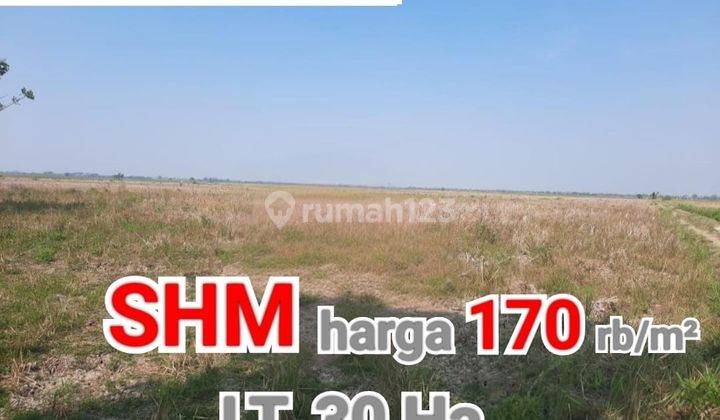 Lahan Murah Di Tambelang Bekasi Utara Akses Stategis 1