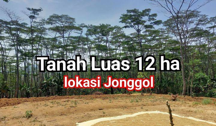 Dijual Tanah Di Kec. Bandung Cocok Untuk Investasi Tempat Wisata 1