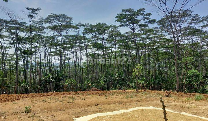 Dijual Tanah Di Kec. Bandung Cocok Untuk Investasi Tempat Wisata 2