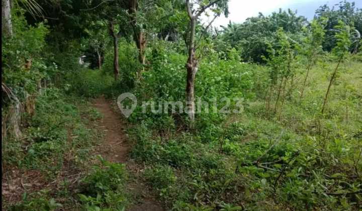 Tanah Zona Wisata Pantai Senggigi Lombok Barat
