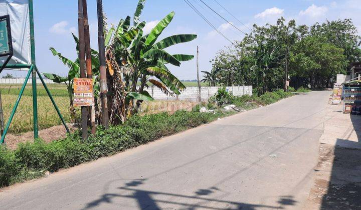 Lahan Murah Di Tambelang Bekasi Utara Akses Stategis 2