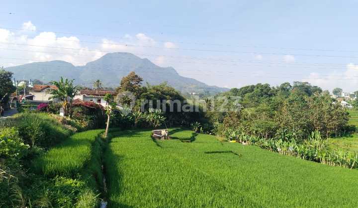 Tanah Murah Dan Luas Cocok Untuk Cluster Jl Nagrog Ujungberung Kota Bandung Tanah Murah Dan Luas Cocok Untuk Cluster Jl Nagrog Ujungberung Kota Bandung