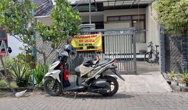 Dijual Rumah Siap Huni Harga 300jt di Cluster Citapen Cihampelas Kbb 1