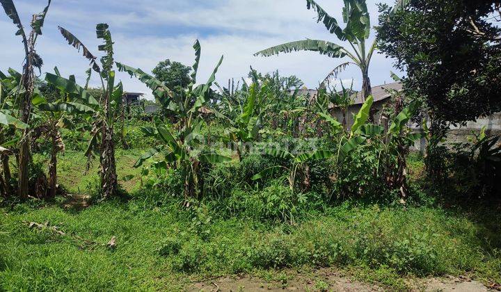 Kavling tanah cocok bangun cluster kecil di Rawa kalong Gunung Sindur 1