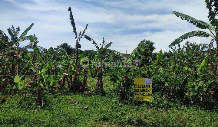 Kavling tanah cocok bangun cluster kecil di Rawa kalong Gunung Sindur 2