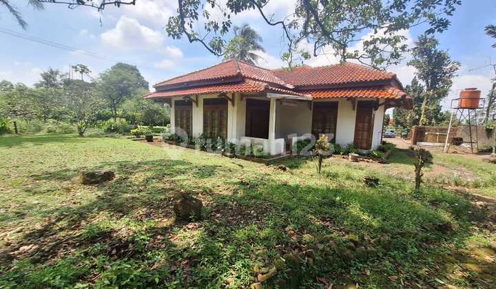 Rumah Tua 1,5 Lantai Hitung Tanah dengan Pemandangan Gunung di Ciapus Rumah Tua 1,5 Lantai Hitung Tanah dengan Pemandangan Gunung di Ciapus