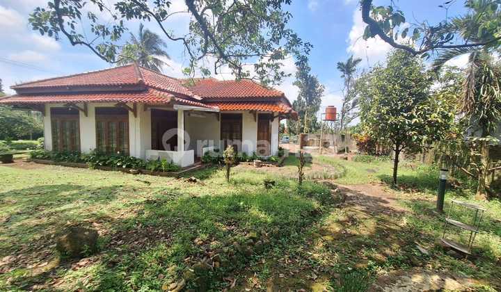 Old 1.5-story house with mountain view in Ciapus, land area included. 2