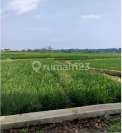 Industrial Land Plot Location near Subang Toll Gate. Industrial Land Plot Location near Subang Toll Gate.