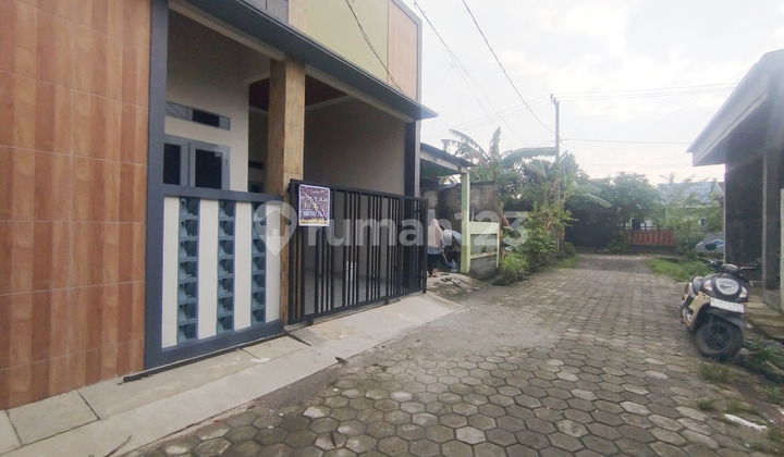Rumah Kotak Harga Koplak Tetangganya Bijak 2