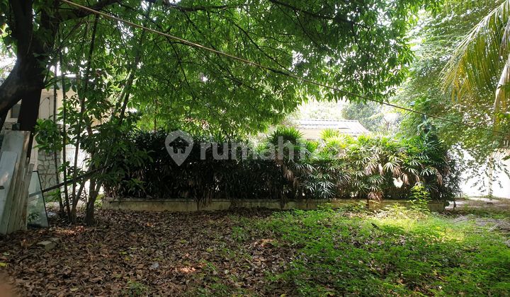 Tanah Murah di Jl. Dr. Kusuma Atmaja No.6A, Menteng, Menteng, Kota Jakarta Pusat, DKI Jakarta, Indonesia, 10310, Menteng