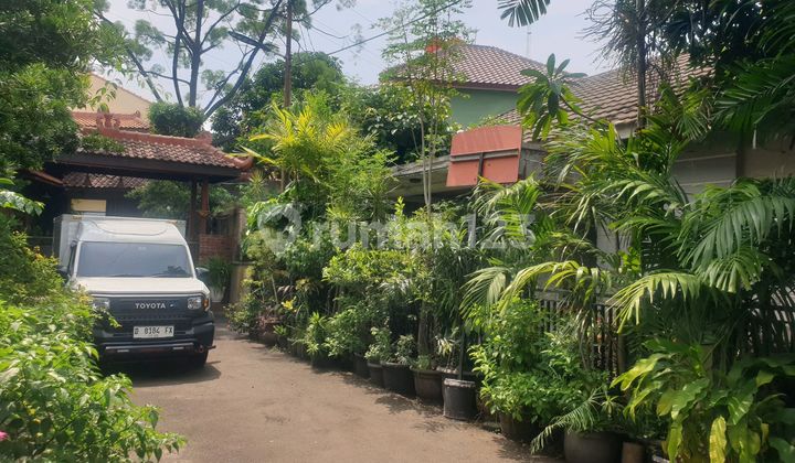 Rumah Tua Hiting Tanah Dijalan Jalan Cempaka Putih Indah 2