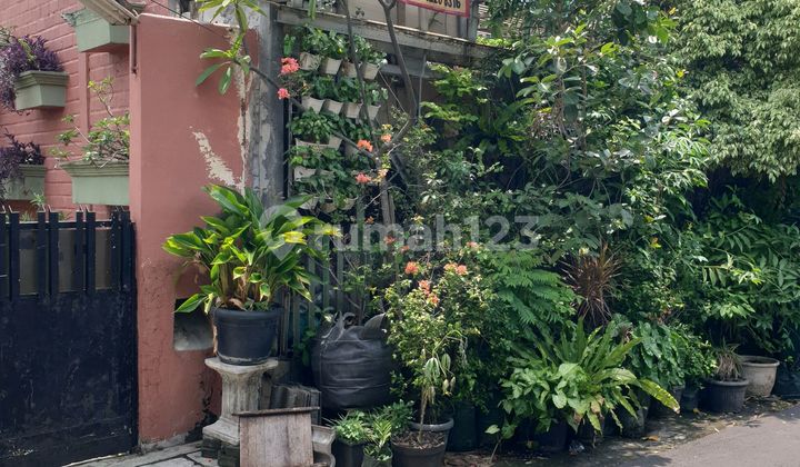 Rumah Murah 2 Lantai Pl Jl Percetakan Negara Iv C No 33 2