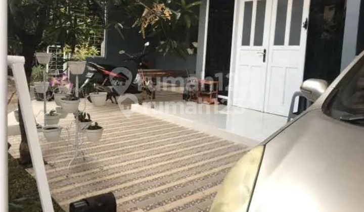 Rarely Are There Beautiful Tulip Houses 2