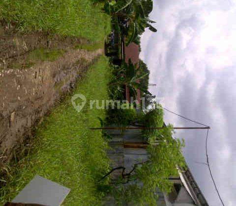 Dijual Tanah di Daan Mogot , Cengkareng Jakarta Barat, nego sampai deal 2