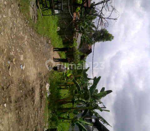 Dijual Tanah di Daan Mogot , Cengkareng Jakarta Barat, nego sampai deal 1