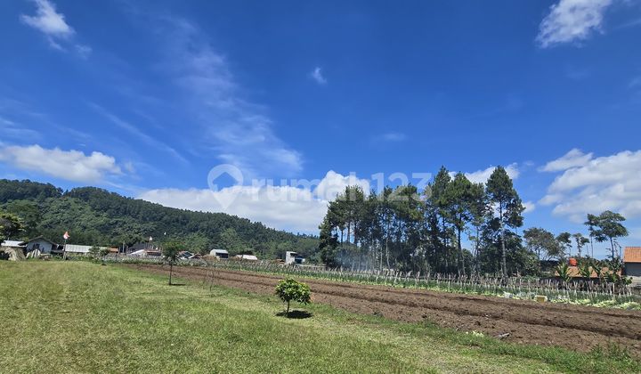 Dijual Kavling Maribaya Cibodas Mainroad Jalur 2 Mobil