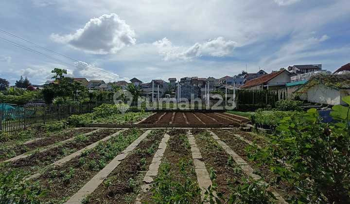 For Sale: Bajuri Cihideung Plots & Buildings