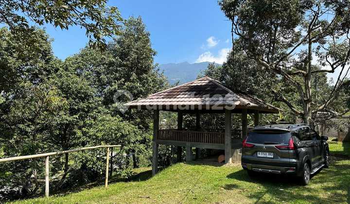 Durian Orchard Goat Farm Land Area 1.6 Hectares Scenic in Cijeruk Bogor West Java