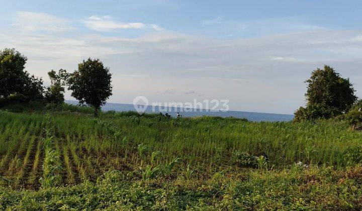 Lahan Prospektif Luas Lokasi Strategis Di Tambolaka Sumba Barat Daya Ntt 2