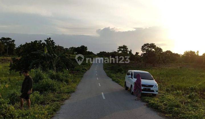 Lahan Prospektif Luas Lokasi Strategis Di Tambolaka Sumba Barat Daya Ntt 1