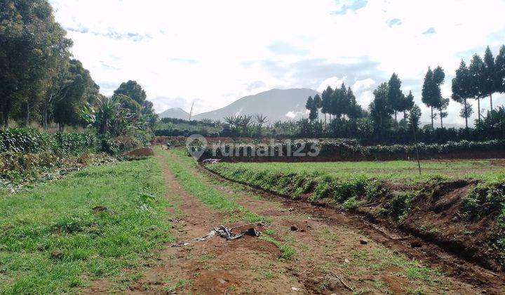 Tanah Murah Luas 53 Hektar SHM Di Sukaraja Sukabumi Dekat Pintu Tol Bocimi 2