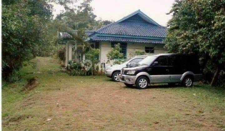 Tanah Strategis Tuk Perkebunan Bonus Villa Bagus Di Desa Limusnunggal Warung Kiara Sukabumi Jabar 1