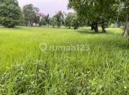 Lahan Bagus Strategis Cocok Bangun Perumahan di Kebagusan JakSel Dekat Tol JORR Simatupang Lahan Bagus Strategis Cocok Bangun Perumahan di Kebagusan JakSel Dekat Tol JORR Simatupang