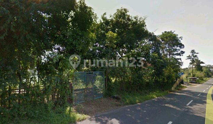 Lot D308. Land for rent on Mojosari - Trawas Main Road.