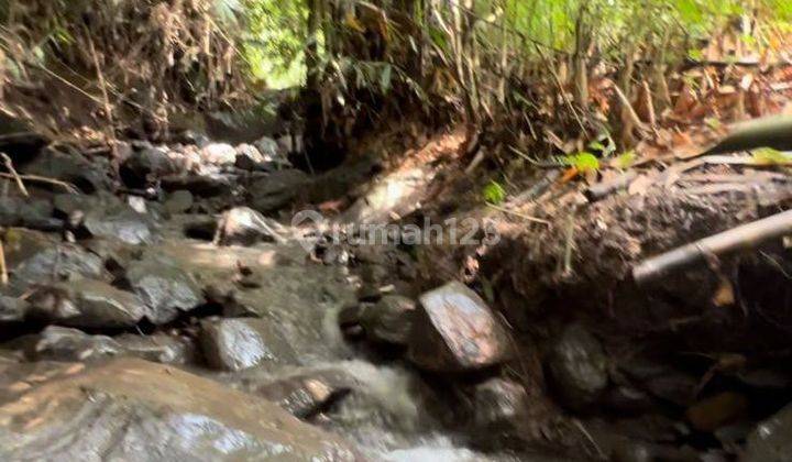 Tanah Kebun Bagus Untuk Agrobisnis Dan Sungai Dan Mata Air Sendiri 2