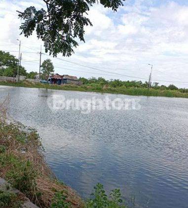 Tanah Di Daerah Segoro Tambak Sidoarjo Dekat Merr, Bandara Juanda