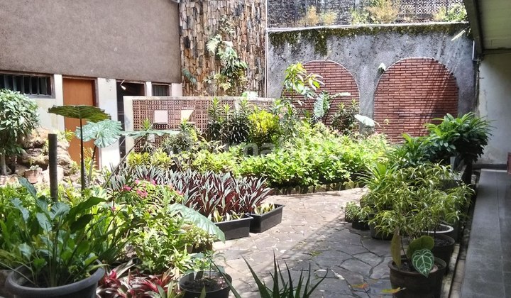 Rumah Luas Terawat Sayap Riau Pusat Kota