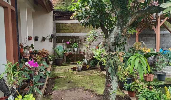 Rumah Luas Ada Kolam Ikan Ujuberung Dekat Sma 24 2