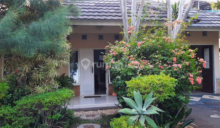 Rumah Asri, Nuansa Villa Kolonial Tempo Dahulu 1