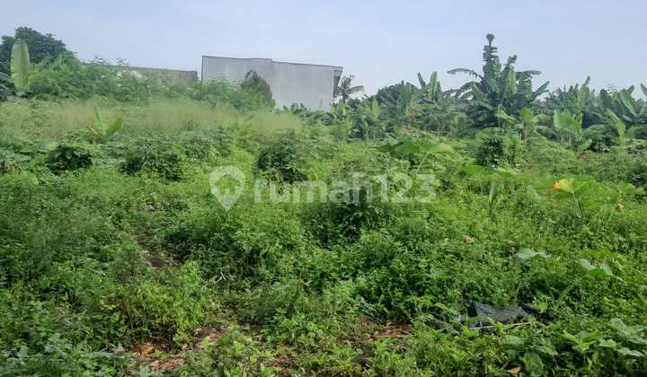 Quick Sale of Plot Land