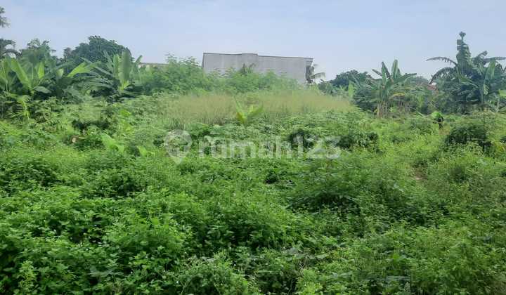 Quick Sale of Plot Land