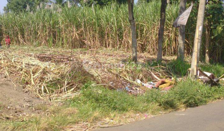 Tanah 5 Ha Pakis Asrikaton Dekat Exit Tol Murah 2