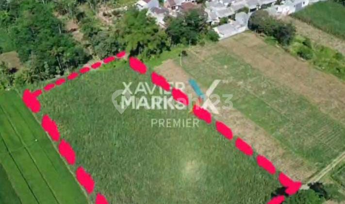 Tanah 1 Ha Lebar 100 Malang Kota Akses Mobil