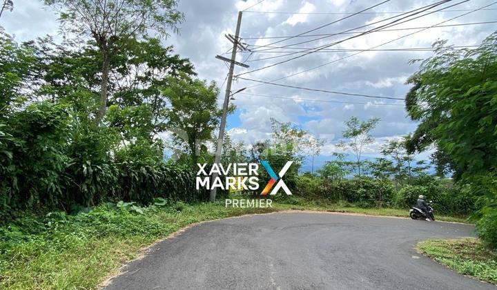 Murah Tanah 600Rb/M Singosari Akses Truck Luas 3,4 Ha